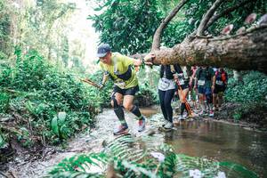 BIB: 
                            <button type="button" onclick="openModal(25473912)" class="btn btn-primary btn-sm float-right btn-popup" data-toggle="modal" data-target=".modal-high-quality">
                        <i class="fas fa-shopping-cart"></i> Add to Cart
                    </button>
                                            <button type="button" onclick="isThisMe(25473912, true)" class="btn btn-success btn-sm float-right btn-popup btn-isme hidden" data-toggle="tooltip" data-placement="bottom" title="นี่คือรูปของคุณใช่ไหม คลิกที่นี่เพื่อเอาเข้าอัลบั้ม">
                        <i class="fas fa-plus"></i> Add to album
                    </button>
                    <button type="button" onclick="isThisMe(25473912, false)" class="btn btn-warning btn-sm float-right btn-popup btn-isnotme hidden">
                        <i class="fas fa-ban"></i> Remove from album
                    </button>